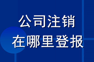 公司注銷在哪里登報
